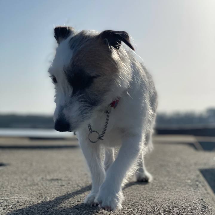 7d300209 8264 4a8c 91e9 ce99aabbde40 1616195710765