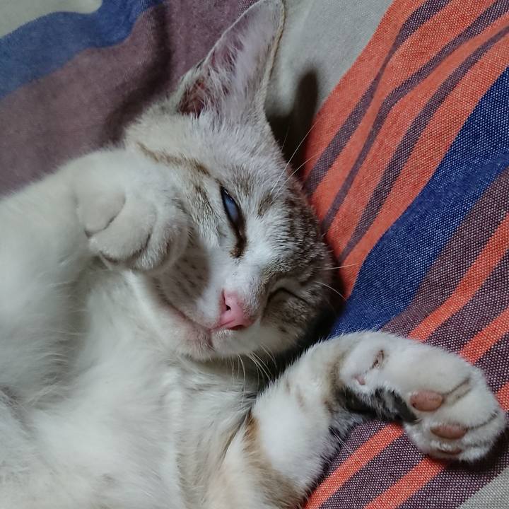 7d3007e3 1b9f 45ac 8252 68ea7be7625d 1529164095912