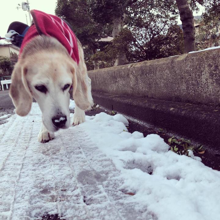 7d300cf1 e6cb 4d33 8eb1 056bddc4fe79 1608543148553