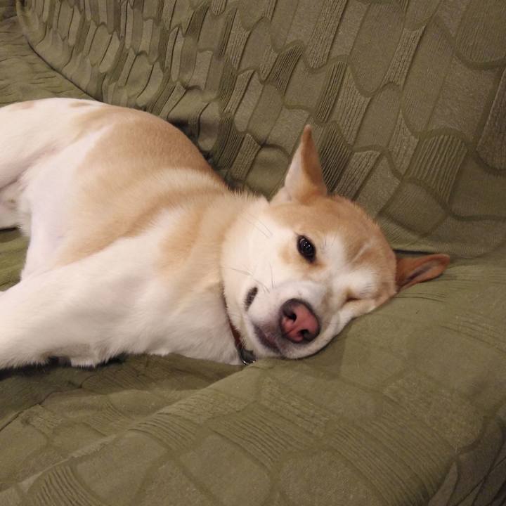 7d30309d 3ab3 4eed b255 0b68141522a4 1514275940809