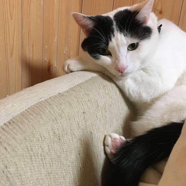 7d303868 5782 4cb1 8eba c62136131959 1511529759109