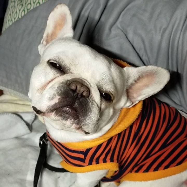 7d303b52 0df0 4922 878c 3ab36895f58b 1644101363099