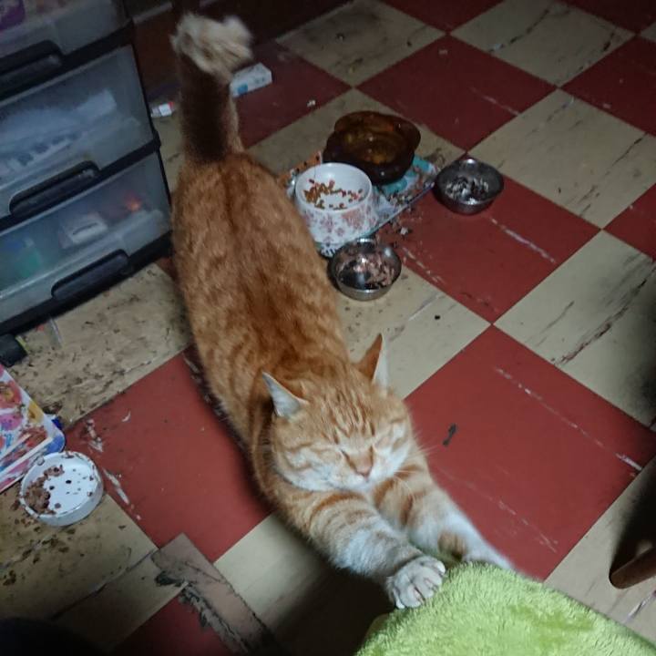 7d30559a 9bd6 493c 904d 2b3df66b83f7 1581710126410