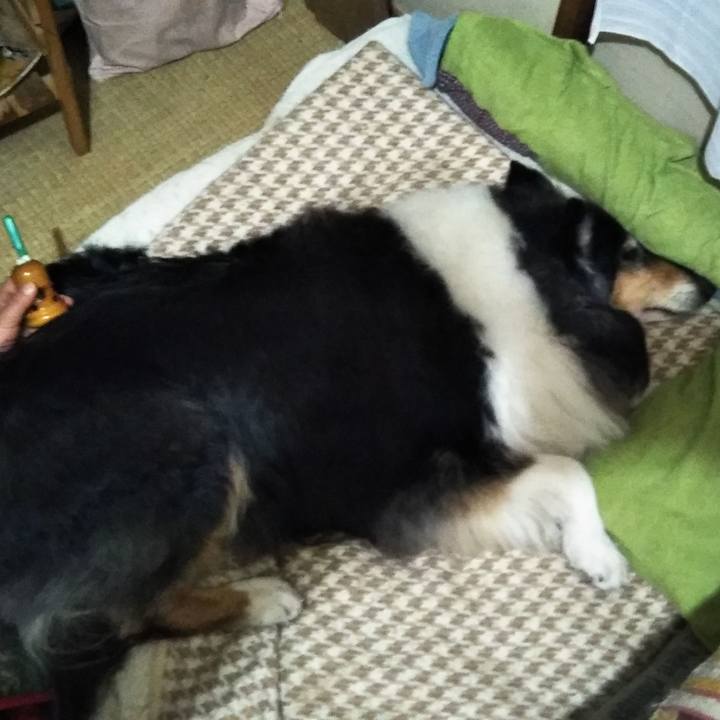 7d308b88 577b 4d93 afc4 b6be8482a86d 1611236591485