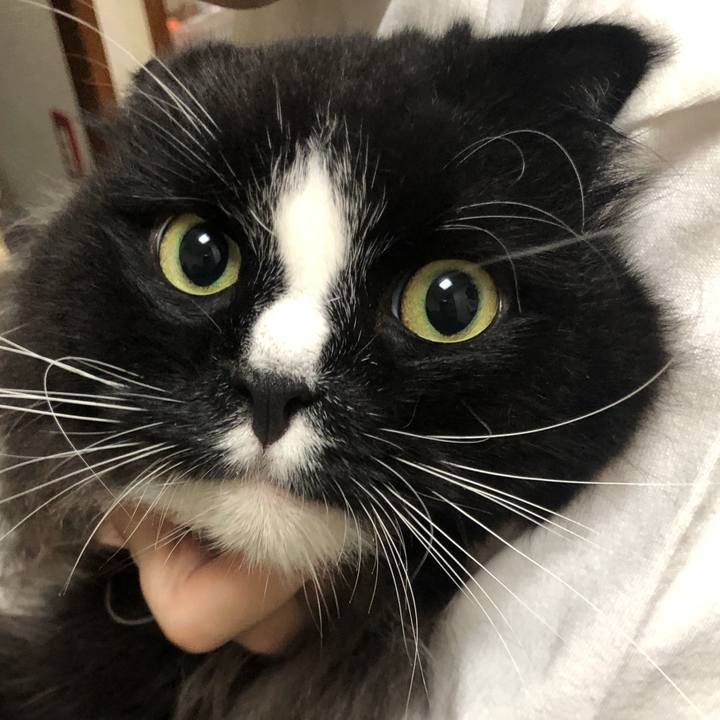 7d309aec dc2b 4f3d 81d9 4b853fb62b35 1727526734855