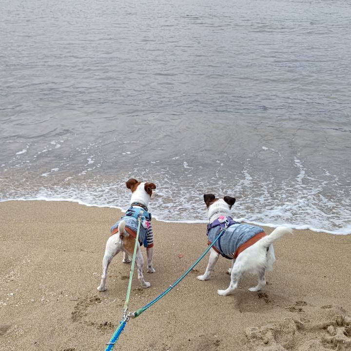 7d30b7bb 2465 4009 861c 9f16cf39e066 1658030545296