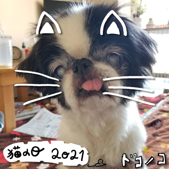 7d312acd bbd6 410a b045 32d409170a06 1613992307064