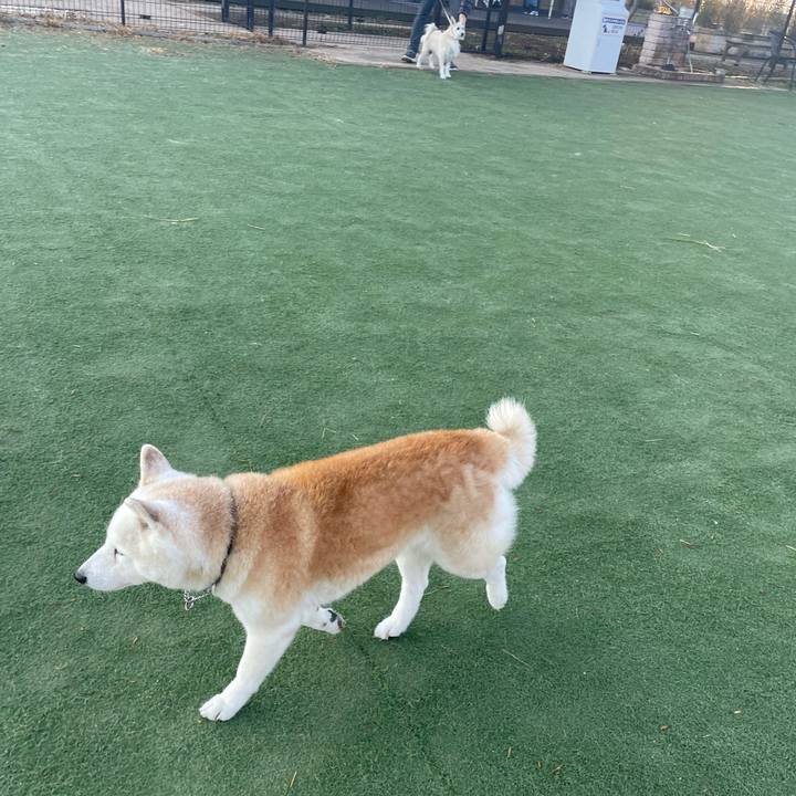 7d314bb7 3afc 4a1b 9b38 b432284fc8bf 1703807320532