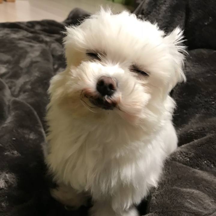 7d316404 8810 4a62 868b b6d62359c767 1518751161044