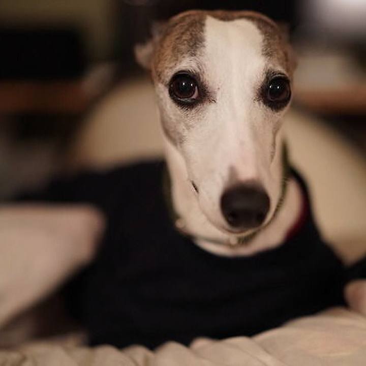 7d317725 615d 49c2 8533 7a0898d92116 1526134329895