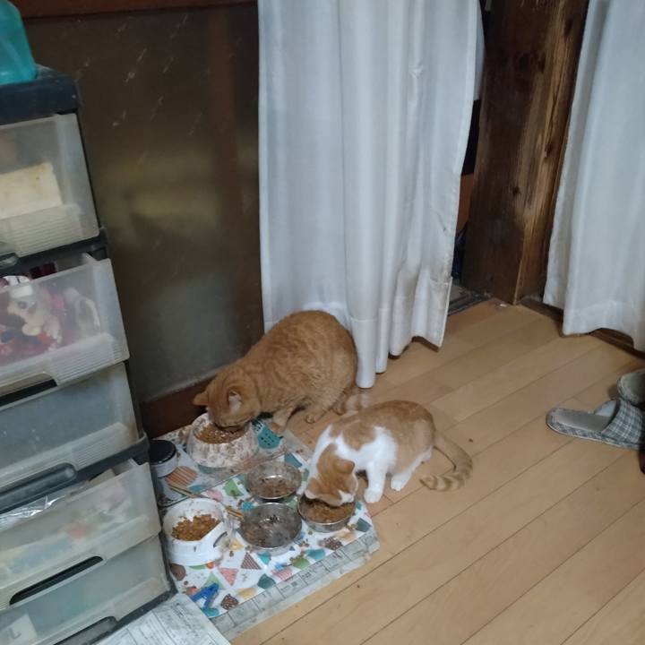 7d3180be a374 492e b2a4 cf55bcb88852 1729548481357