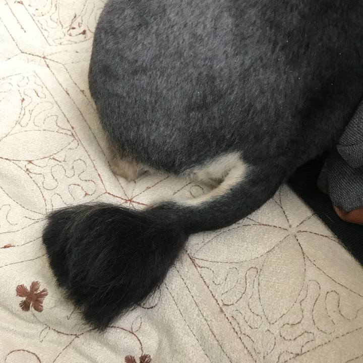 7d318175 d727 45e4 adf3 e14af50f2402 1531722461799