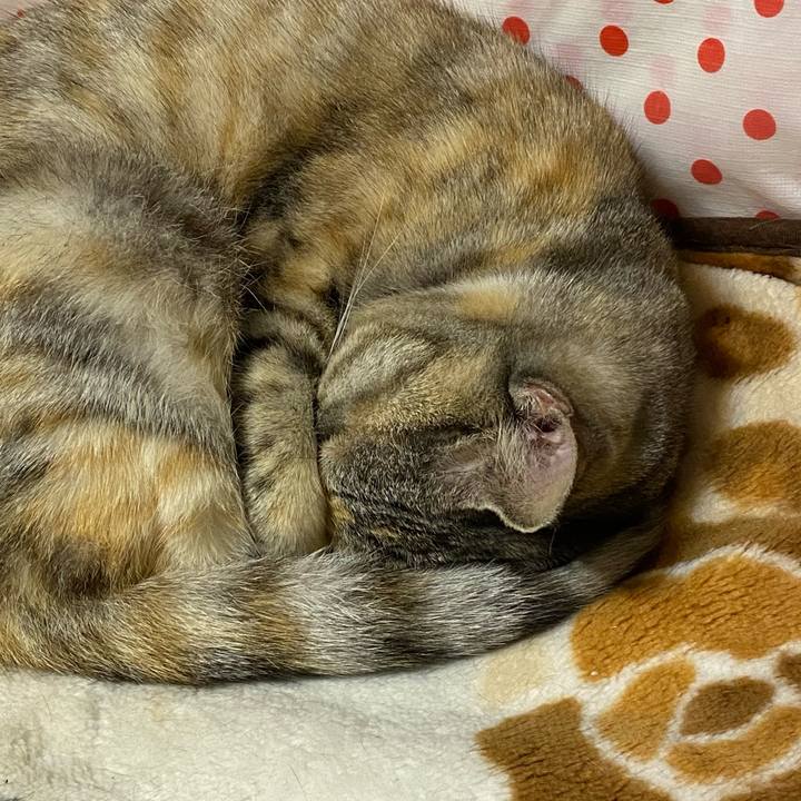 7d3189e3 a0fe 45d6 b29a fa7e22cb3cd8 1619971331290