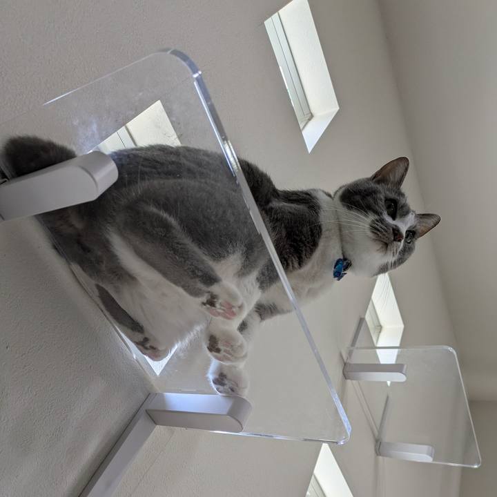 7d319977 91ac 4b2d 9c10 e3ed031600bf 1772850566854