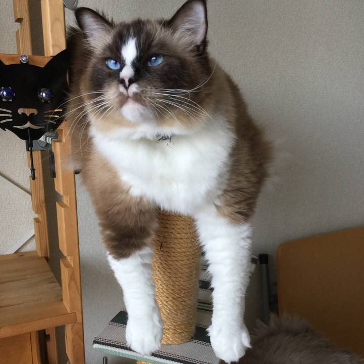 7d31a1da fc56 42e8 8679 a2ad847a0160 1508812127809