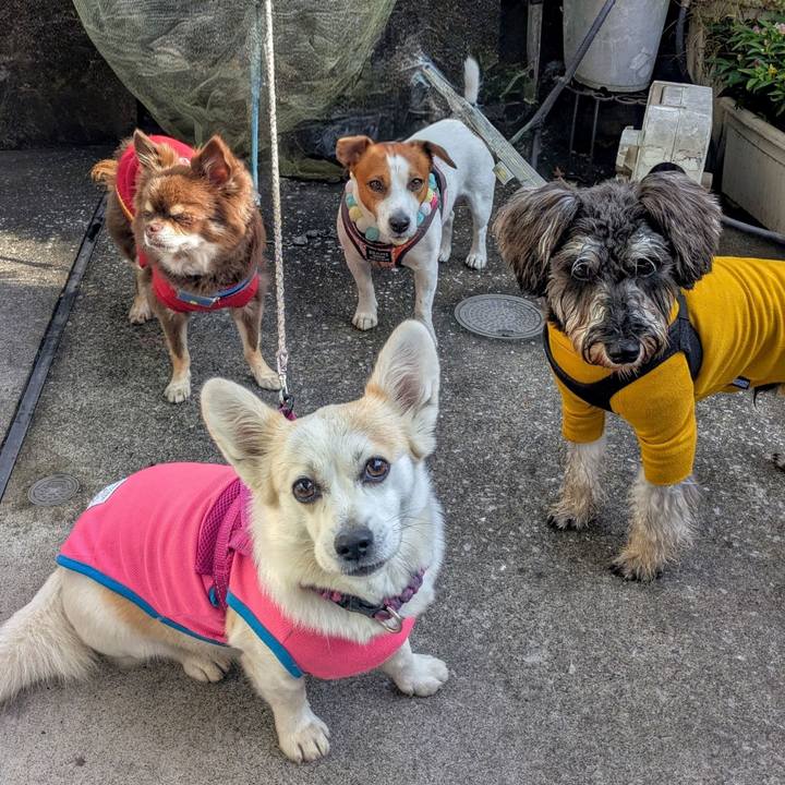 7d31cee9 1286 4c03 9310 3937a1583d23 1761967332112