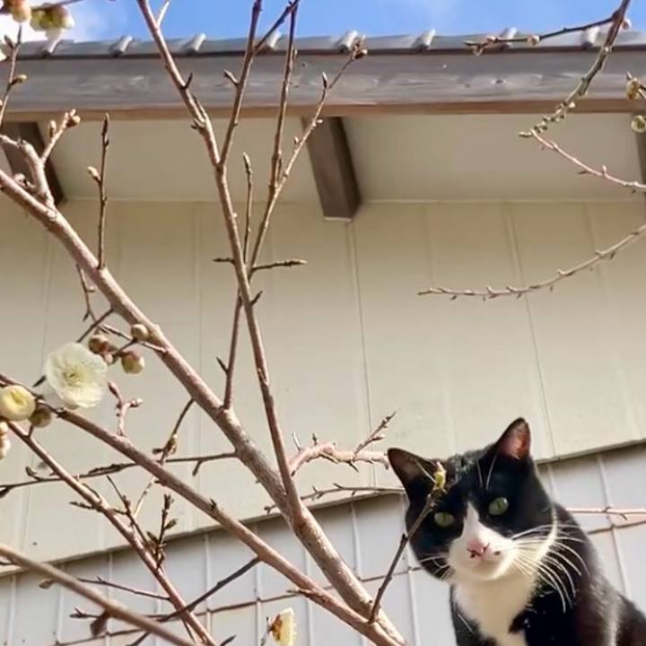 7d31d250 54b7 4d80 aa87 dfe7de681937 1739757841704