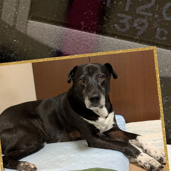 7d31d452 5165 4ee5 a039 f53c9a1b36e4 1750158413027