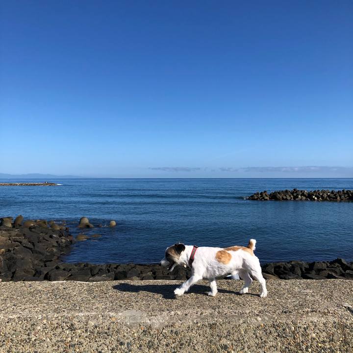 7d31fe18 abe9 4cb7 97e2 8d1426df4a23 1591570463363