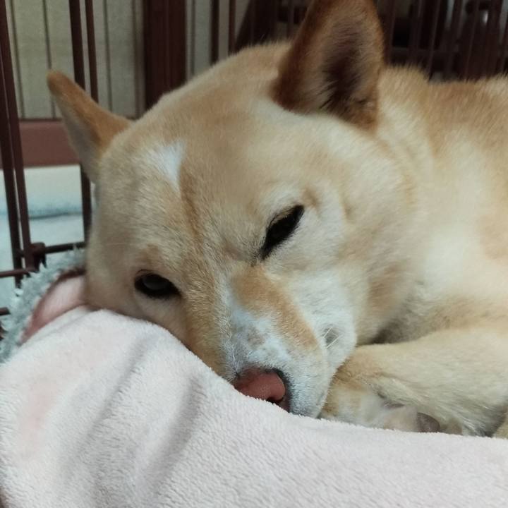 7d3203a0 b991 4208 9897 759461d9e3e1 1554722251404