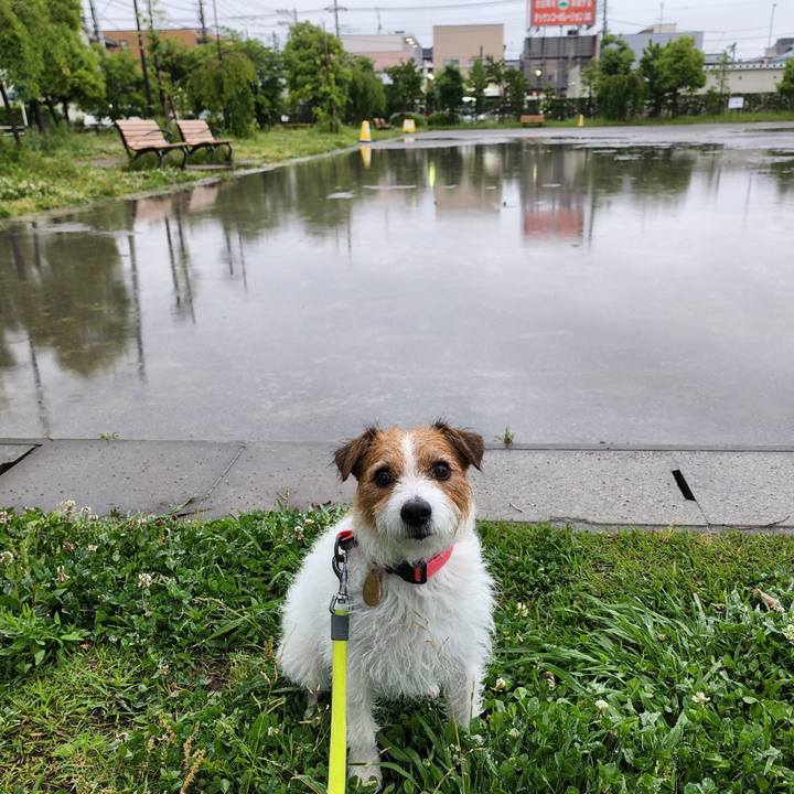 7d324839 2193 445f 97dc 7f91d2425617 1654508401504