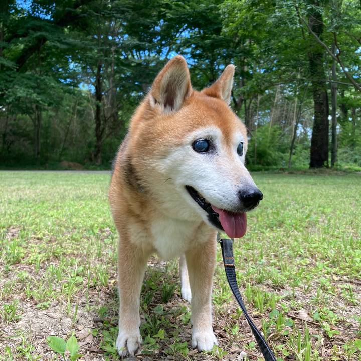 7d3282ab 1f11 4e98 b2dd a8a9e91e3cff 1750653538261