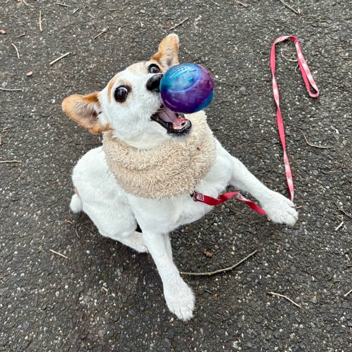 7d329be3 2d02 481a bc01 773285b2647b 1768998000294