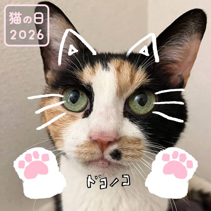 7d329e64 a025 4929 8003 3547ea57f0ed 1771705013749