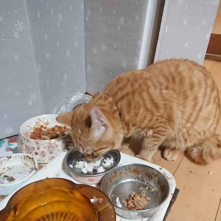 7d32a7eb aa79 4994 b3c6 6aaa61e29ba7 1639740257663