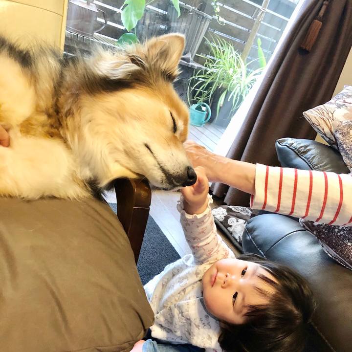 7d32d24f edf5 4666 9526 edd8788957ca 1590057347524