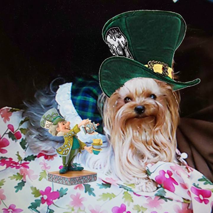 7d32d2f4 5a58 45e0 a428 3ea484c79ad5 1583827315525