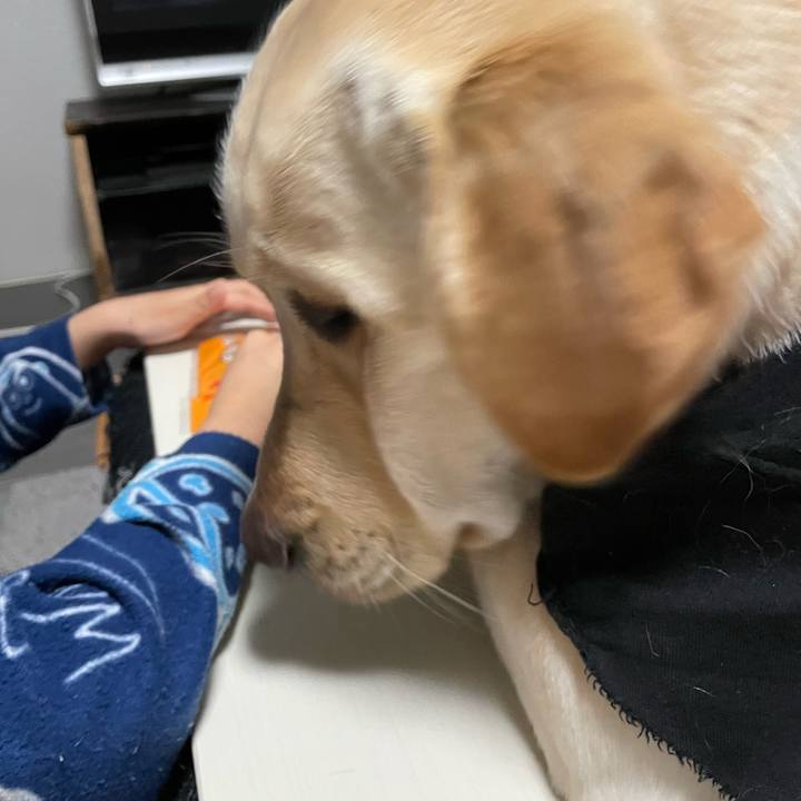 7d3311d0 16c2 4399 aa7f 8b63ec166b67 1647612857880