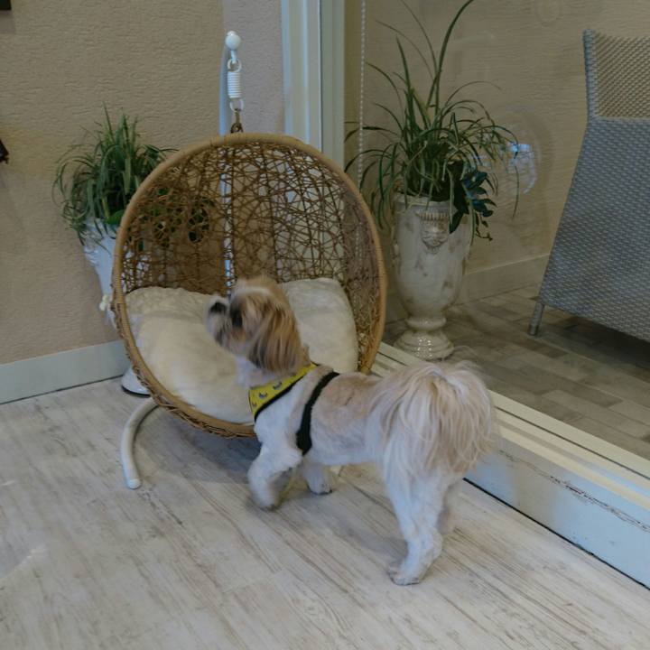 7d331482 3004 4a9c b7ee 291515231697 1558249564869