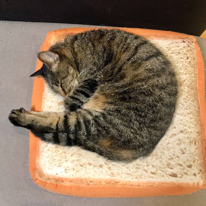 7d331a58 f528 42ea acd7 f848b561b989 1620196178309