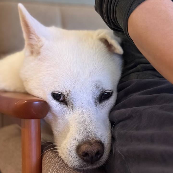 7d33842c bfc0 42b1 a788 a5de14352223 1772497017876