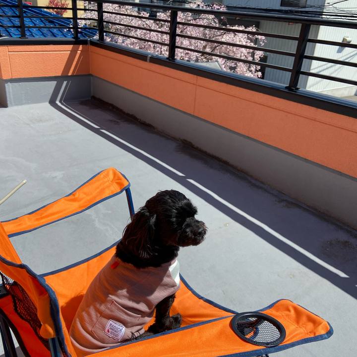 7d338acd d695 4894 8f7b 59b094403cc4 1618144007360