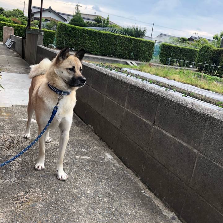 7d339807 0dc4 40d5 8e16 bc8cf4abbfea 1559309243488