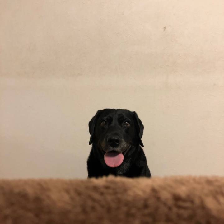 7d33e248 da37 4815 a0c4 3c0a00382c5a 1526484096579