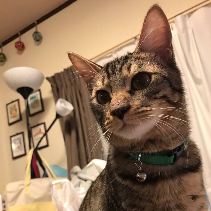 7d3403dc a6ba 4c73 a731 89ea685a39e9 1551706996845