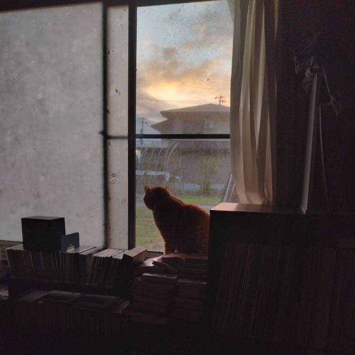 7d340749 de27 49a5 8a01 de1c0d123406 1752270218041