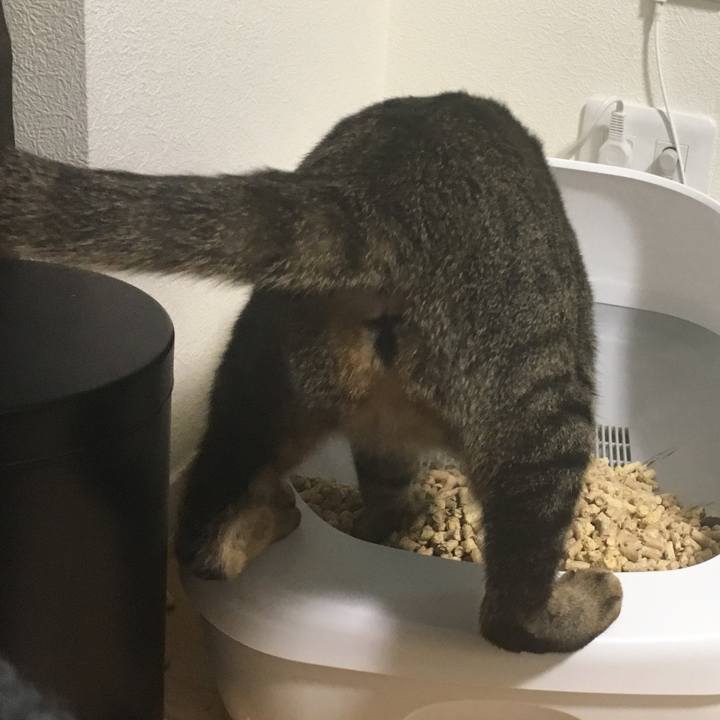 7d341161 9e7a 4fcd bb33 cf8f6b7deb00 1519395998197