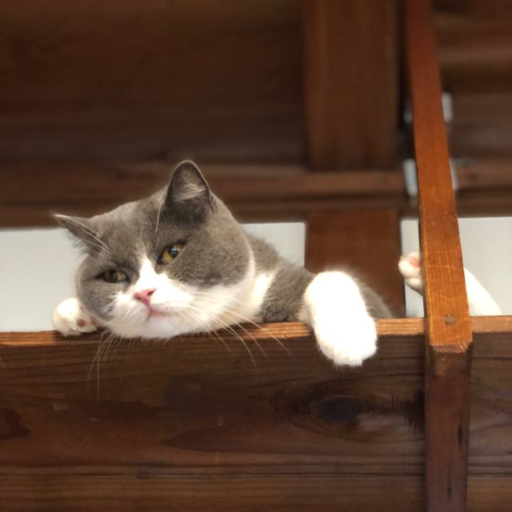 7d342814 b0c0 414d bb86 556089ce2d3f 1599005781382