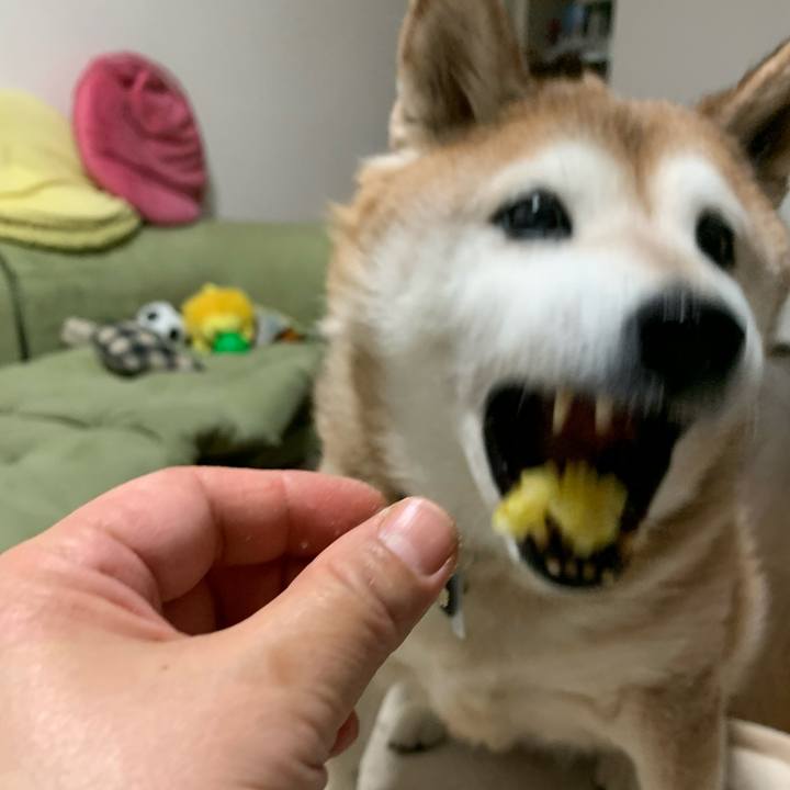 7d342ac5 c829 4b05 826f e9c655a0e8e4 1584180096704