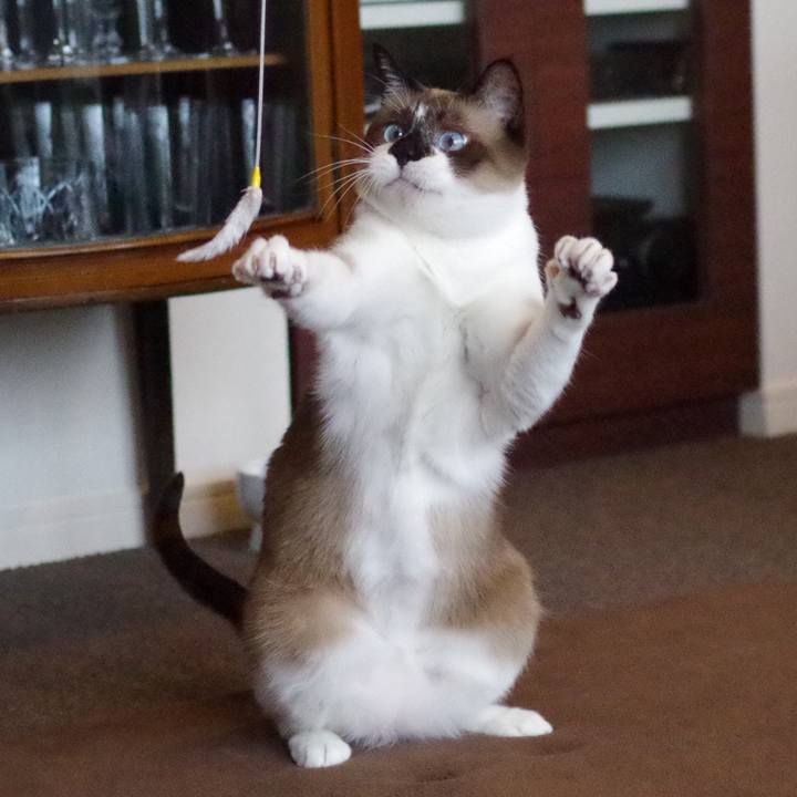 7d344078 857f 4e40 bd38 9167a4f47359 1520050026857