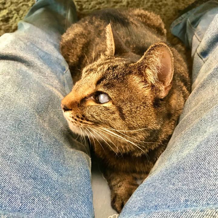 7d34535a bcfb 437c 8549 163c293423b6 1578791070159