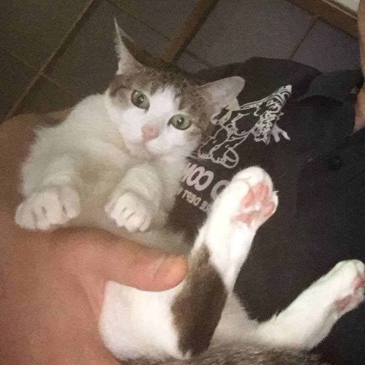 7d347c55 b0f6 4f8a b644 8d34d6ebd8d4 1756529902890