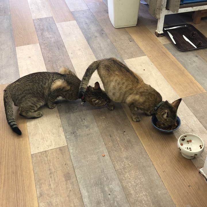 7d349254 fc60 4eec 98a0 f37e49ce1df1 1596599346754