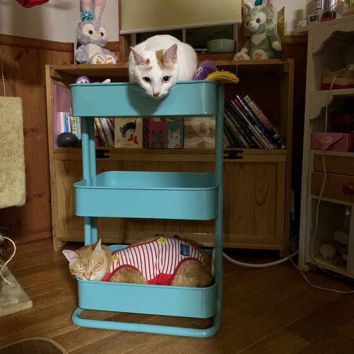 7d349a19 a2cb 4001 8e02 8babd1a3e30f 1589371779804