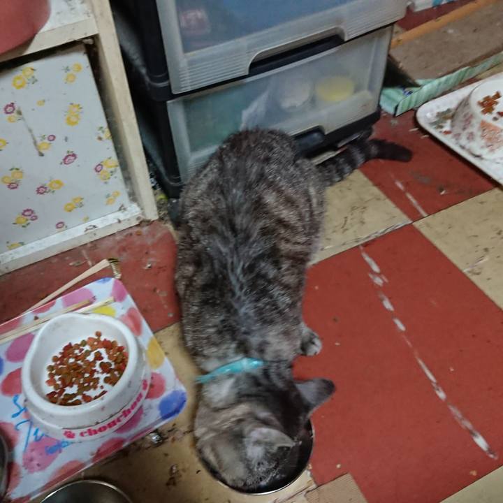 7d350302 e9eb 41e4 a353 1f3c12e6a380 1569195074438