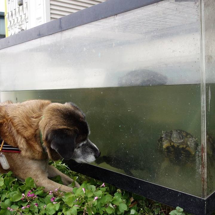 7d35370b 3f71 426e b8b5 f841a9588b8a 1514685806007